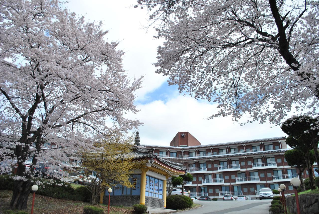 Corea Condo Kyongju Gyeongju Exterior foto