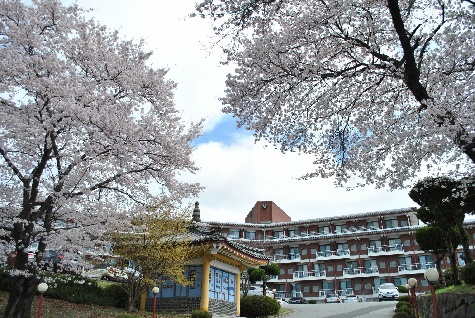 Corea Condo Kyongju Gyeongju Exterior foto